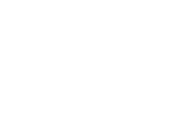 WZW GmbH